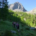 Cima Bocche